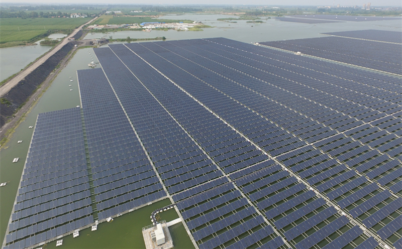 1552445423299723.jpg 1 (1)-l.jpg