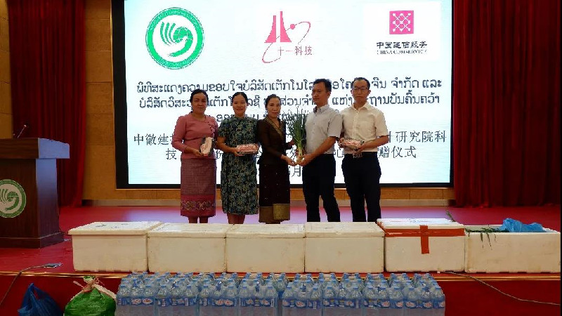 1605507515479699.jpg 1.jpg